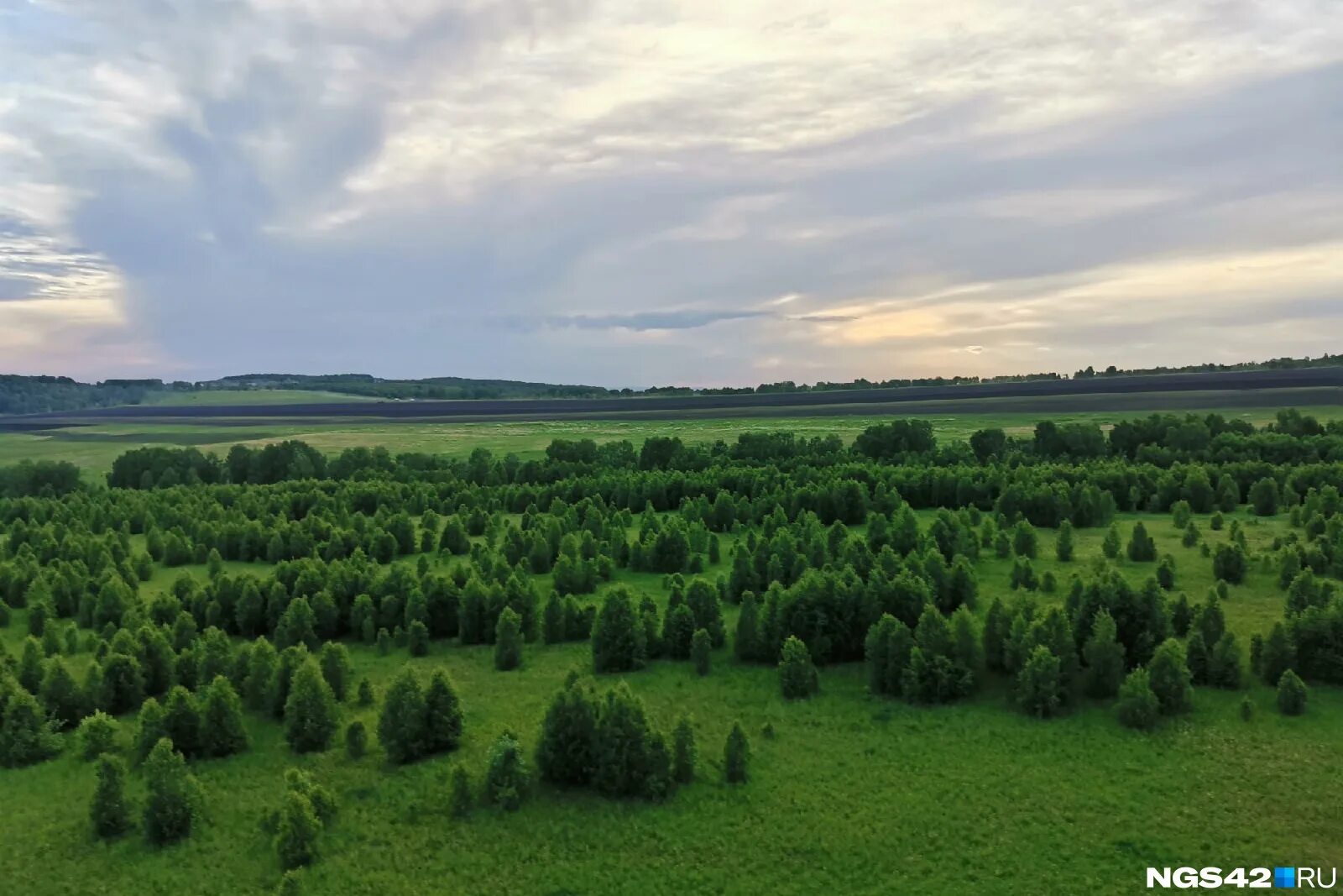 кузбасс режим