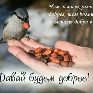 Дай добро
