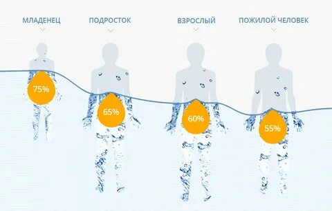 Сколько людей состоит
