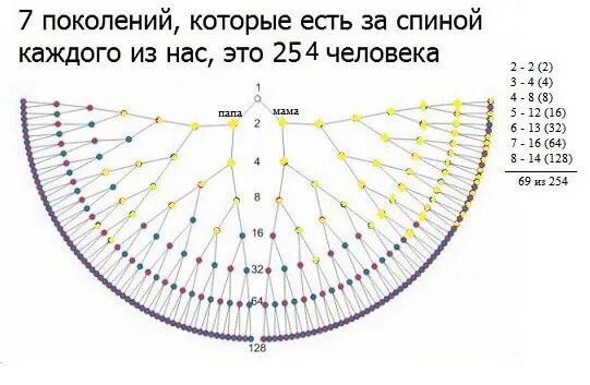 Схема рода человека. 7 Поколений рода. Схема 7 поколений. Птица рода схема. Птица рода схема на 7 поколений.