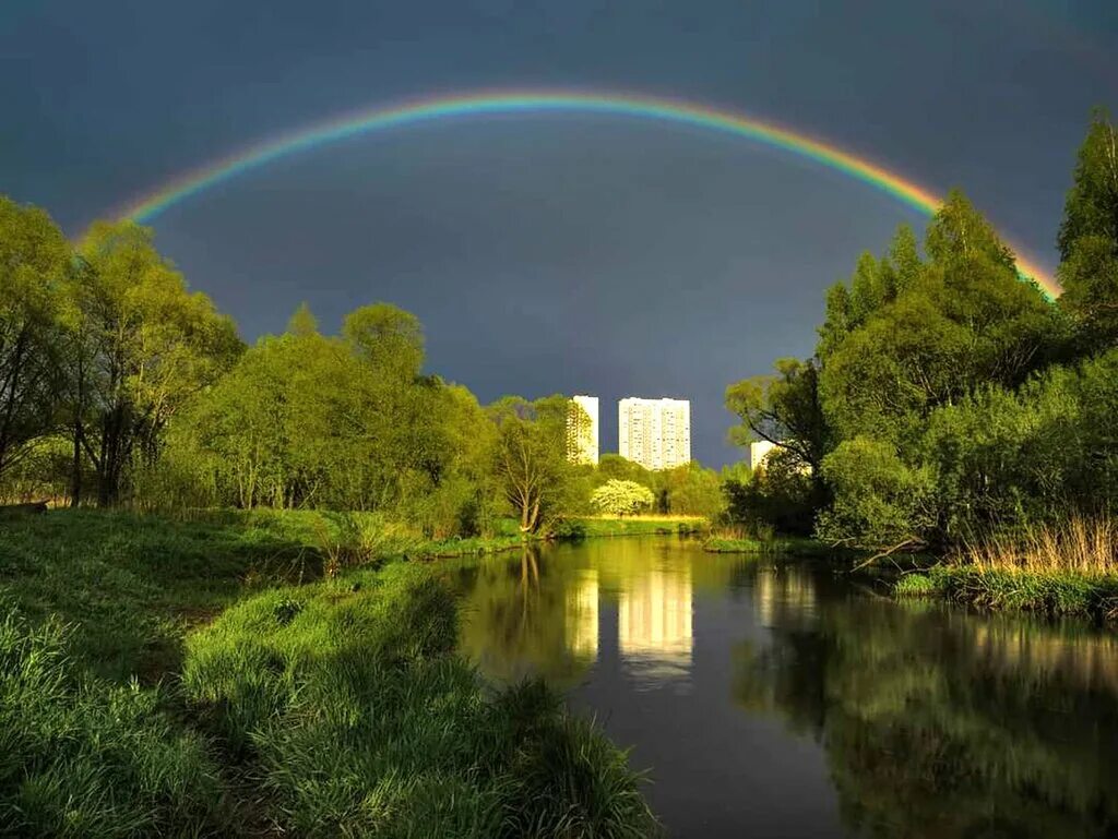 Овраг в тушино. Сходнинский. Сходненский ковш южном тушино. Сходнинский. Северное тушино сходненский ковш.