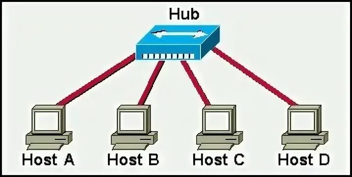 Host b