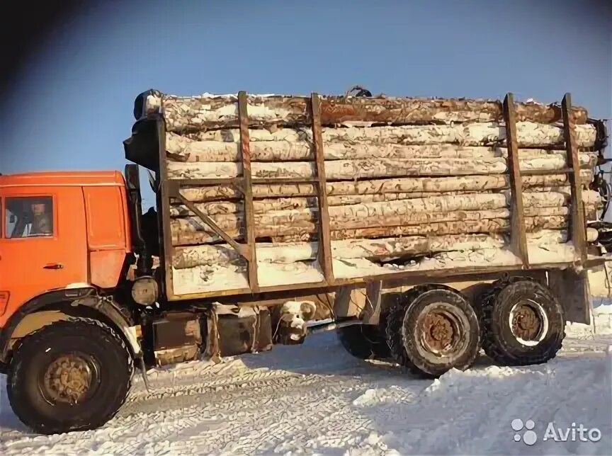 Лесовоз дров. Лесовоз с дровами камаз. Камаз 75 кубов леса. Березовые дрова лесовозом. Дрова длинномером.
