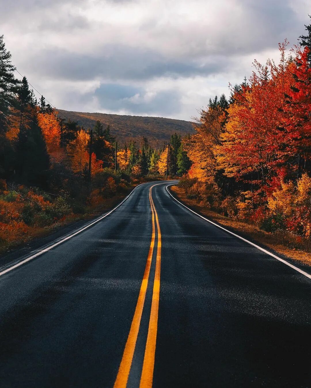 Обои осень. Осень лес дорога. Осенняя дорога. Дорога в осень. Осенняя дорога.