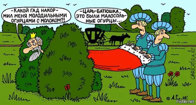 Огурец прикол. Огурец юмор. Соленые огурцы прикол. Огурец юмор. Огурец демотиватор.