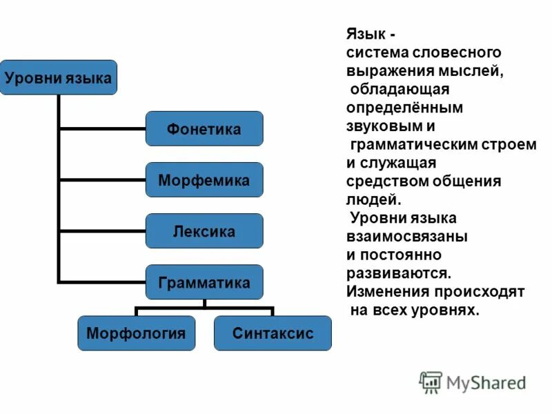 Каковы основные уровни. Уровни языковой системы схема. Уровни системы русского языка. Основные уровни языка схема. Схема система русского языка.