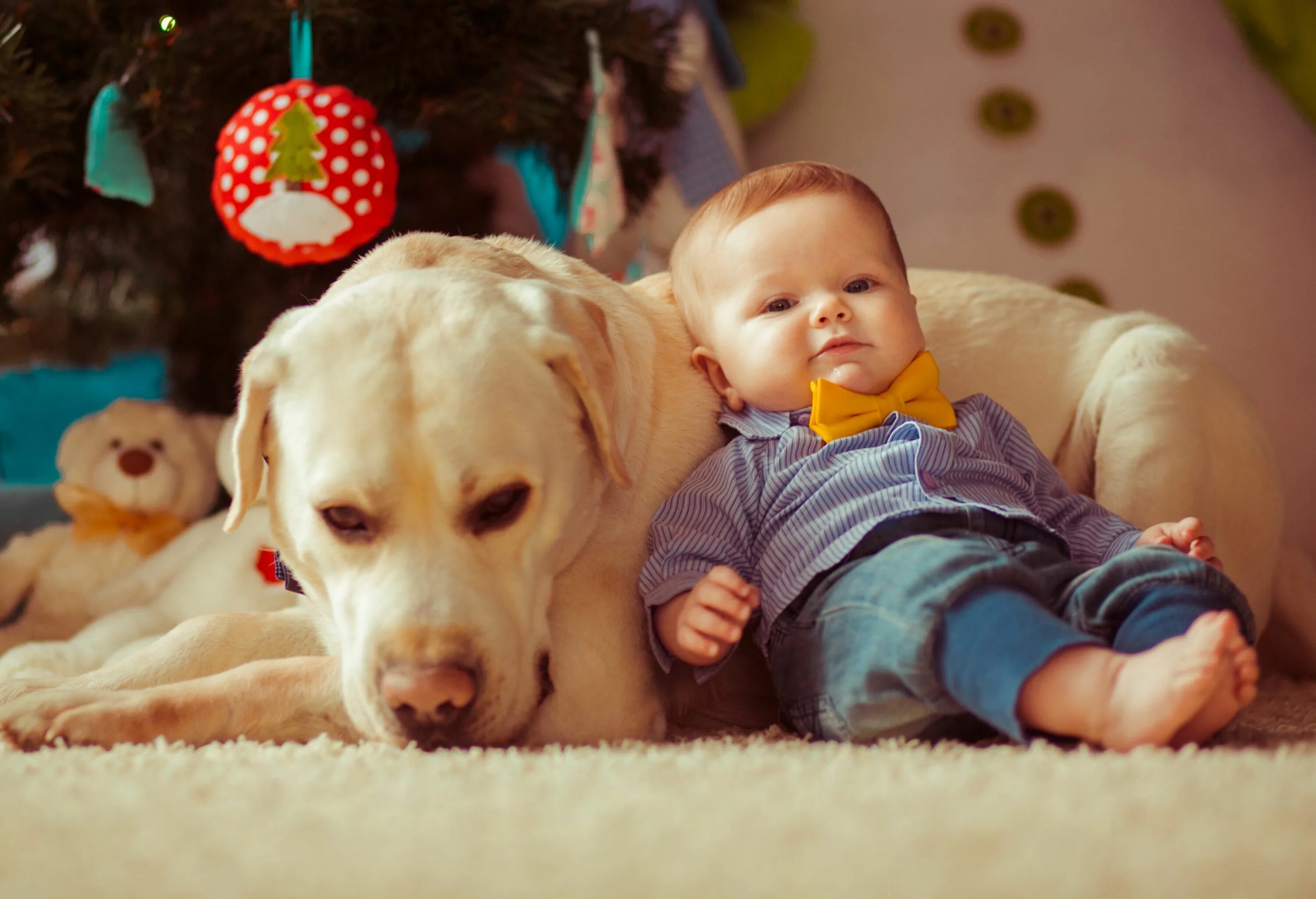 Baby pet. Ребенок с собакой на полу. Ребенок с щенком дома. Бэби дог. Дети собаки валяются.