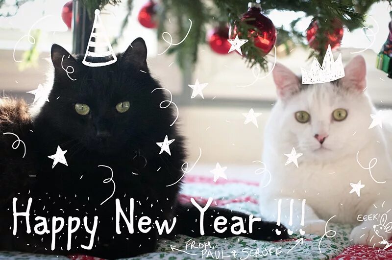 Мяу лет. Кошачий новый год Happy New-year. Мяу новый год. Замурчательного нового года. С новым мяу годом.