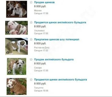 Когда можно будет продать dogs