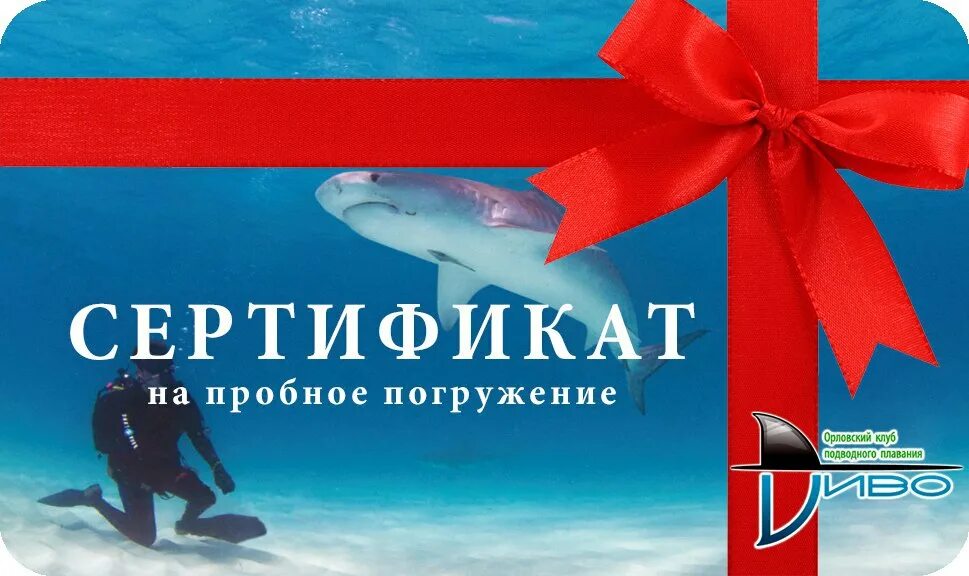 Дайвинг сертификаты. Дайвинг в подарок сертификат. Подарочный сертификат на погружение с аквалангом. Сертификат для подводного плавания. Сертификат дайвера.