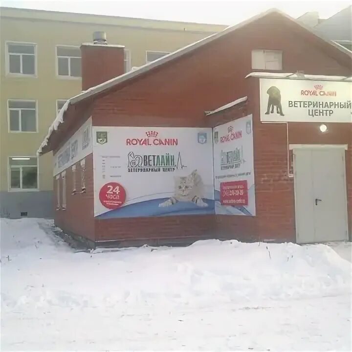 Героев хасана 7а пермь. Ветклиника хасана. Героев хасанов 7 а пермь. Ветклиника смт. Ветклиника хасана.