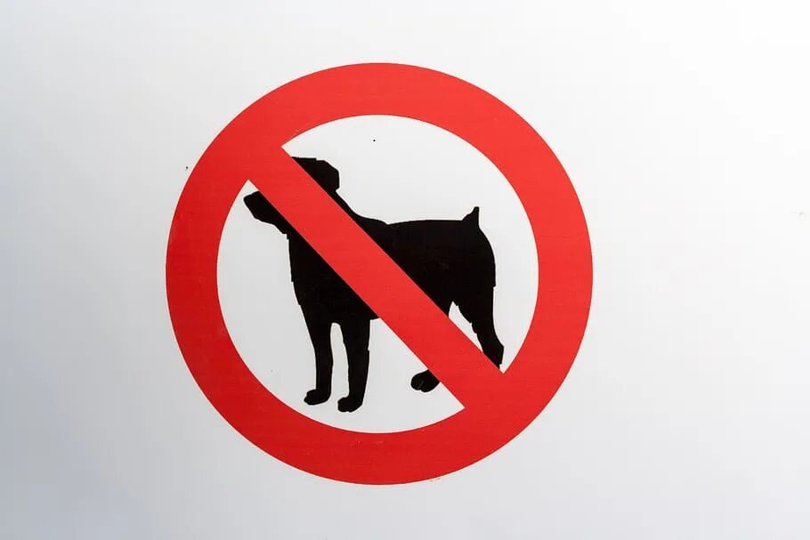 Нападение запрещено. Запрещенные собаки. Запрет собак. Запрещающие таблички. Выгул собак запрещен.