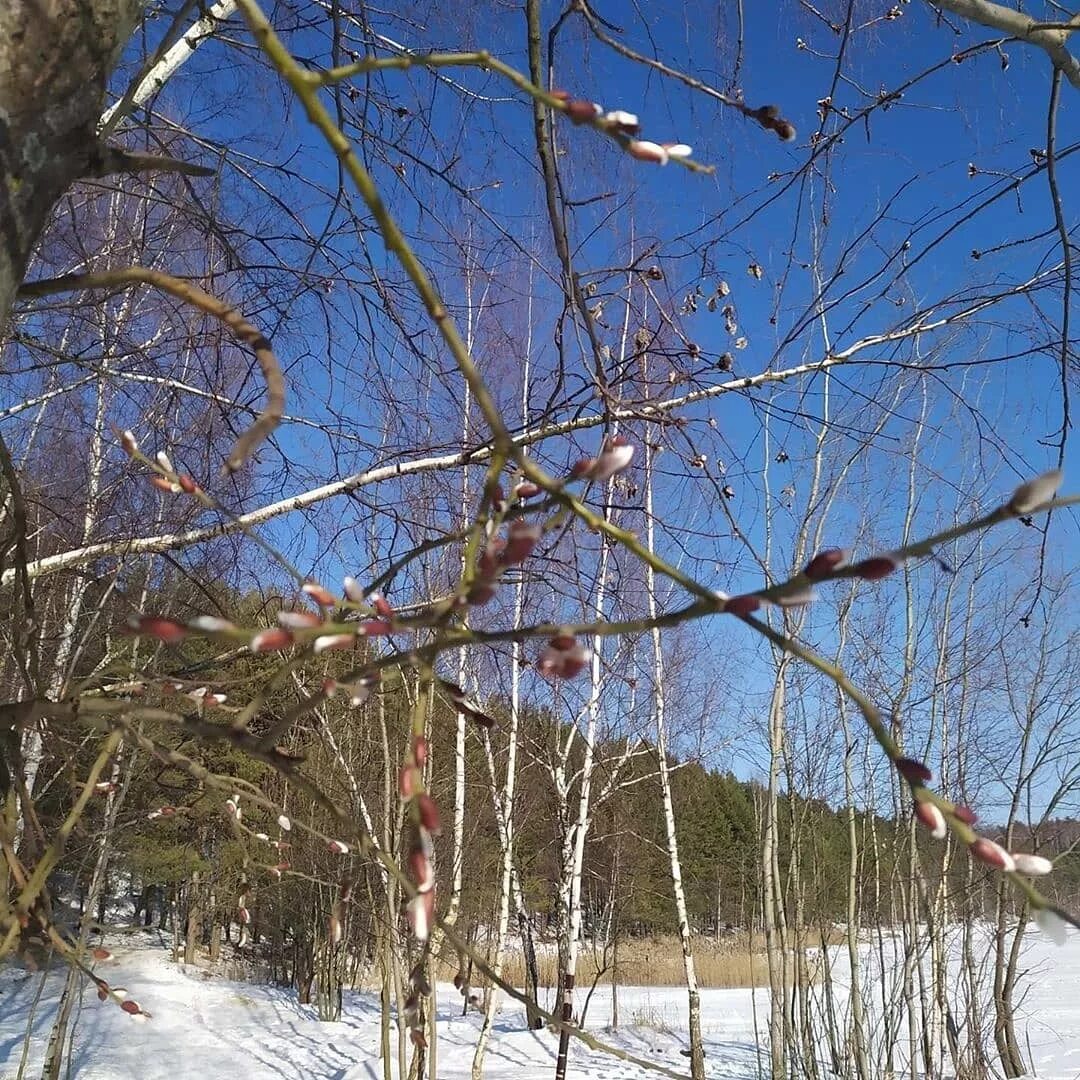 Погода в лыткарино на сегодня. Погода на сегодня в лыткарино по часам. Лыткарино московская область. Погода на сегодня в лыткарино по часам. Площадь лыткарино.