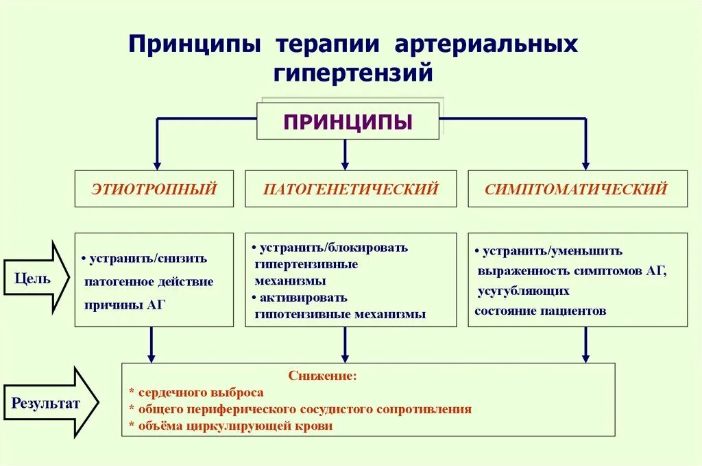 Принципы лечения артериальной гипертензии. Принципы терапии артериальной гипертензии. принципы патогенетической терапии артериальной гипертензии. этиотропное патогенетическое и симптоматическое лечение. патогенетическая терапия гипертонической болезни.