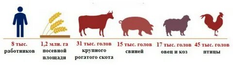 Максимальный размер крестьянского фермерского хозяйства