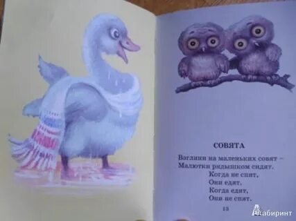 Книга вот они какие