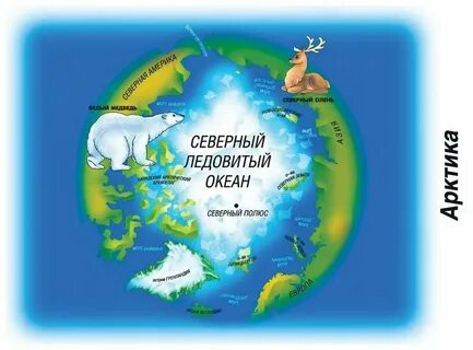 Какие материки северного ледовитого океана