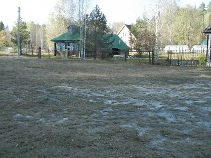 Ярки новосибирская область