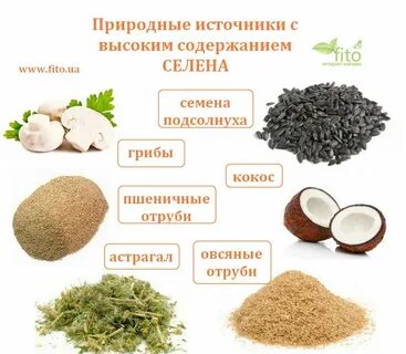 Селе каких продуктах