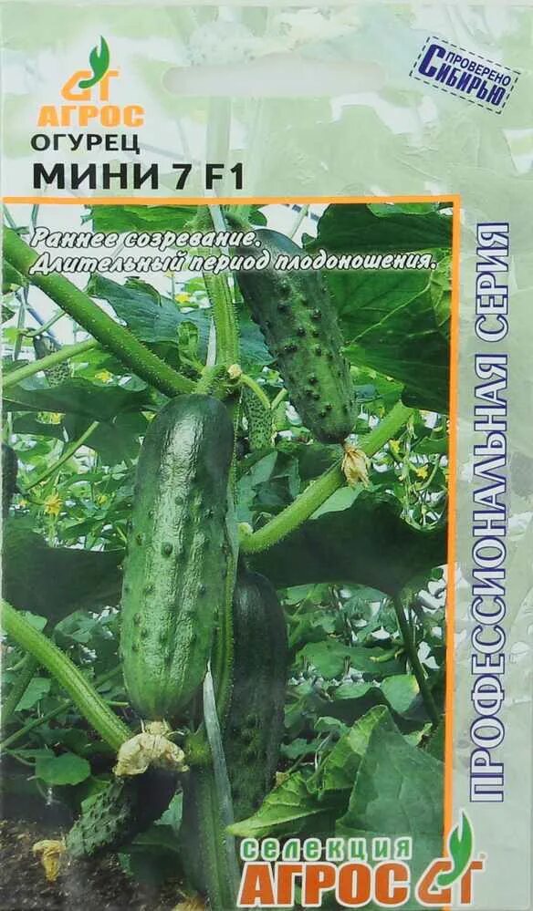 Семена огурцов корнишонов для открытого грунта. Огурцы корнишоны мини мини f1. Огурец бэби мини f1. Сорт мини огурчиков. Огурец мини-мини f1 8шт/10.