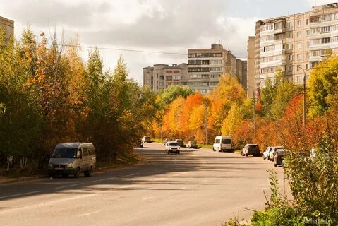 Город дуброва