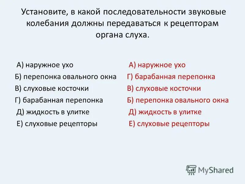 механизм передачи звуковых колебаний. восприятие звуковых колебаний. рецепторы органа слуха последовательность. передача звуковых колебаний в слуховом анализаторе. строение внутреннего уха человека анатомия.