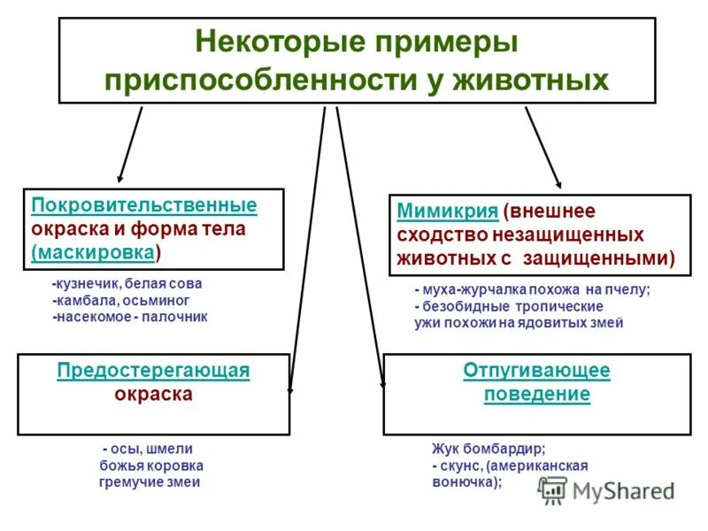 Защитные приспособления у животных таблица. Типы окрасок животных ЕГЭ. Виды окраски у животных. Виды приспособленности.