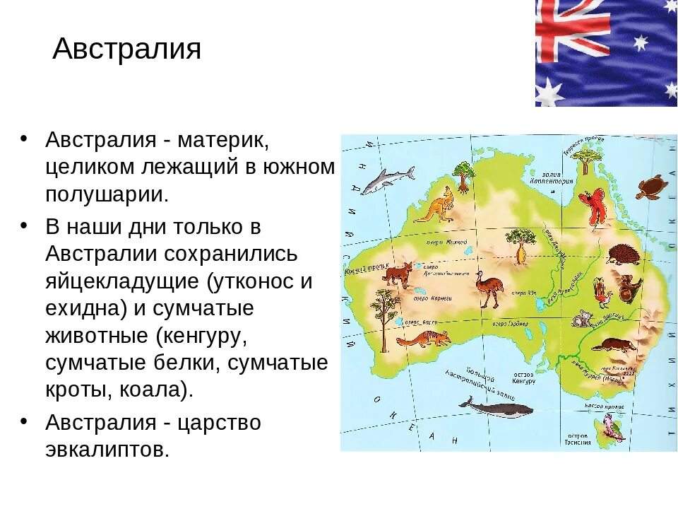 Австралия пример страны. Рассказ про материк Австралия 5 класс. Австралия доклад 5 класс по географии. Краткое содержание о материке Австралия. Рассказ о материке Австралия 2 класс.