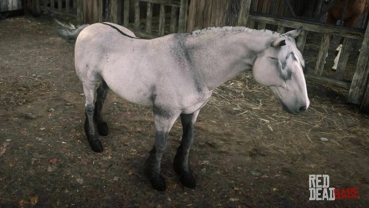 Буланая лошадь мустанг. Rdr 2 мустанг. Rdr 2 дикий мустанг. Red dead redemption 2 mustang. Тигровый мустанг rdr2.