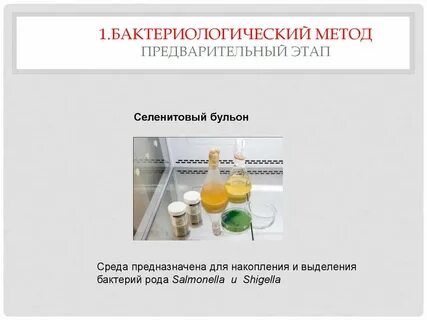 Среда накопления для сальмонелл