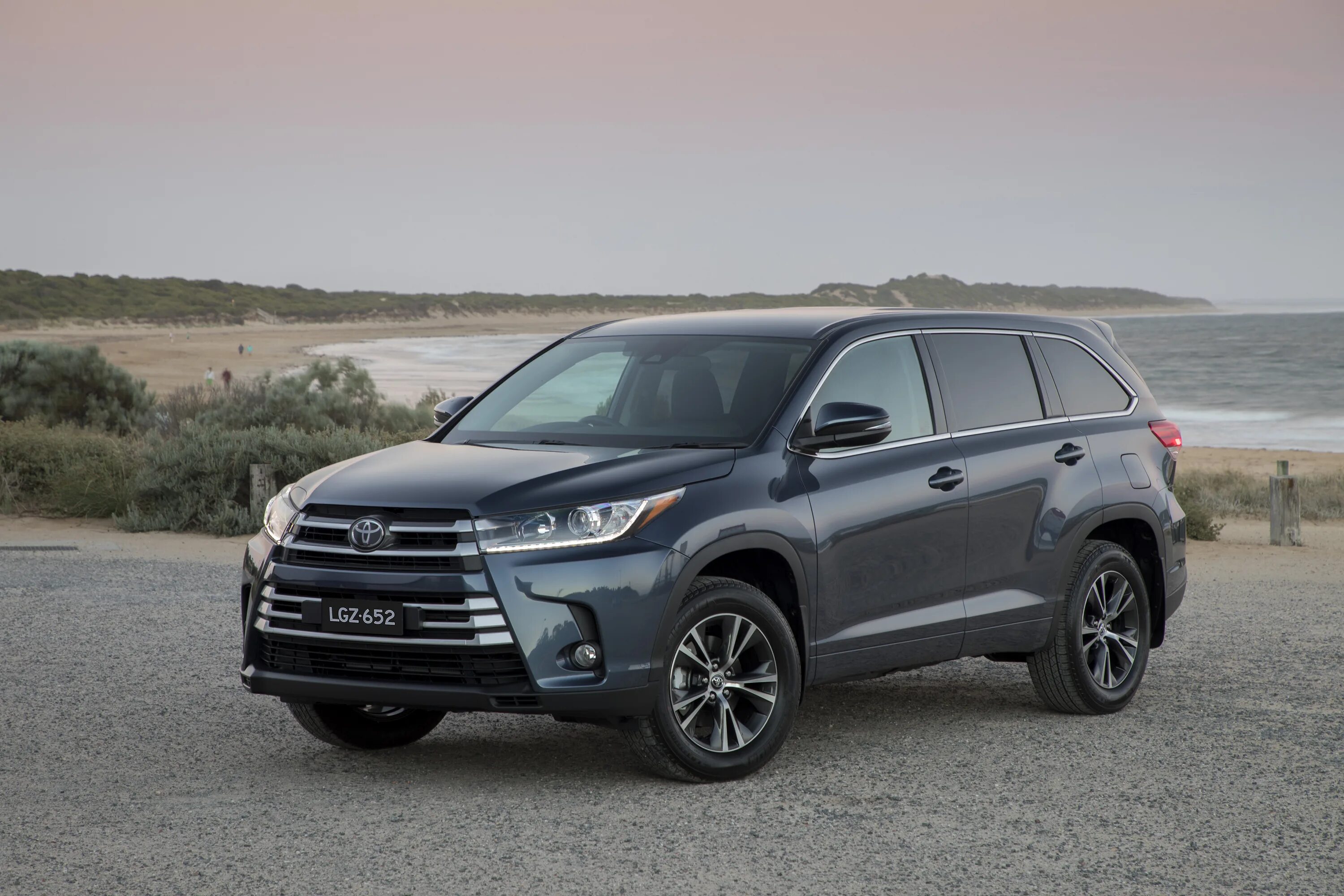 Toyota highlander 2016. Хайлендер лошади. Хайлендер лошади. Тойота клюгер 2019. Собака похожая на лошадь порода.