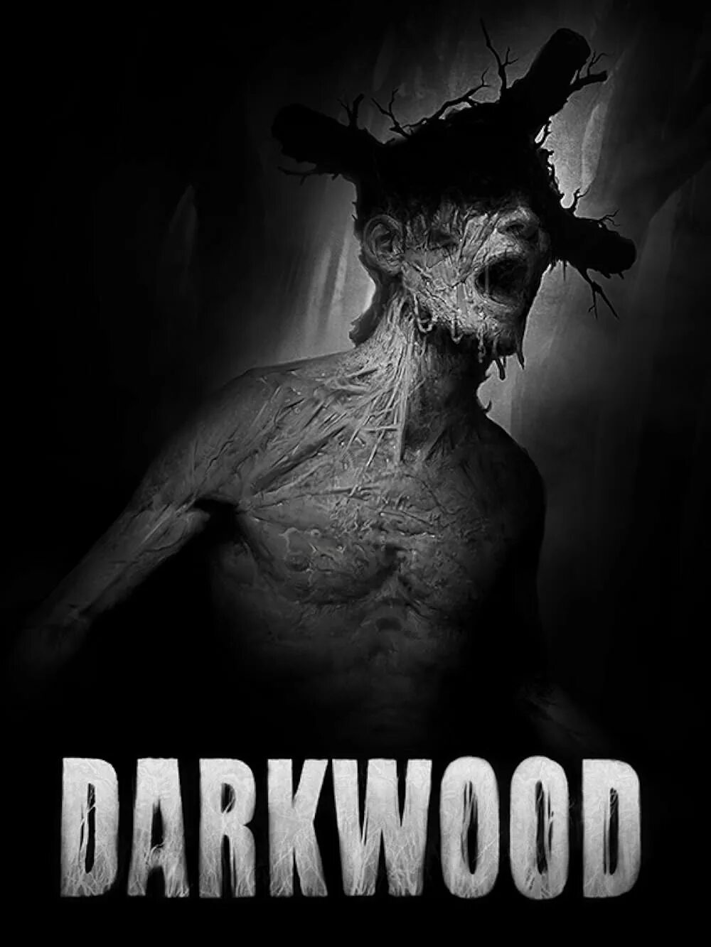 Darkwood двери. Darkwood игра. darkwood стим.