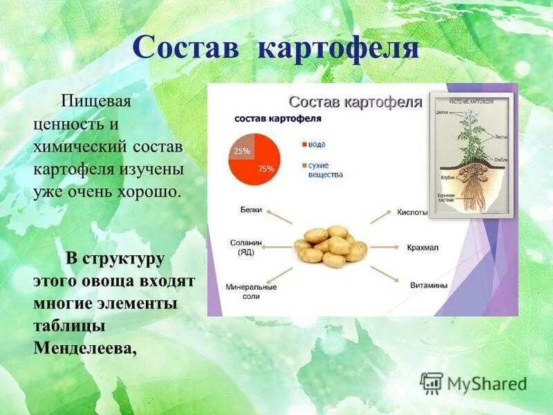 Сколько белка содержится в картофеле. Пищевая ценность картофеля на 100 грамм. Питательная ценность картофеля. Питательные вещества в картошке. Химические свойства картофеля.