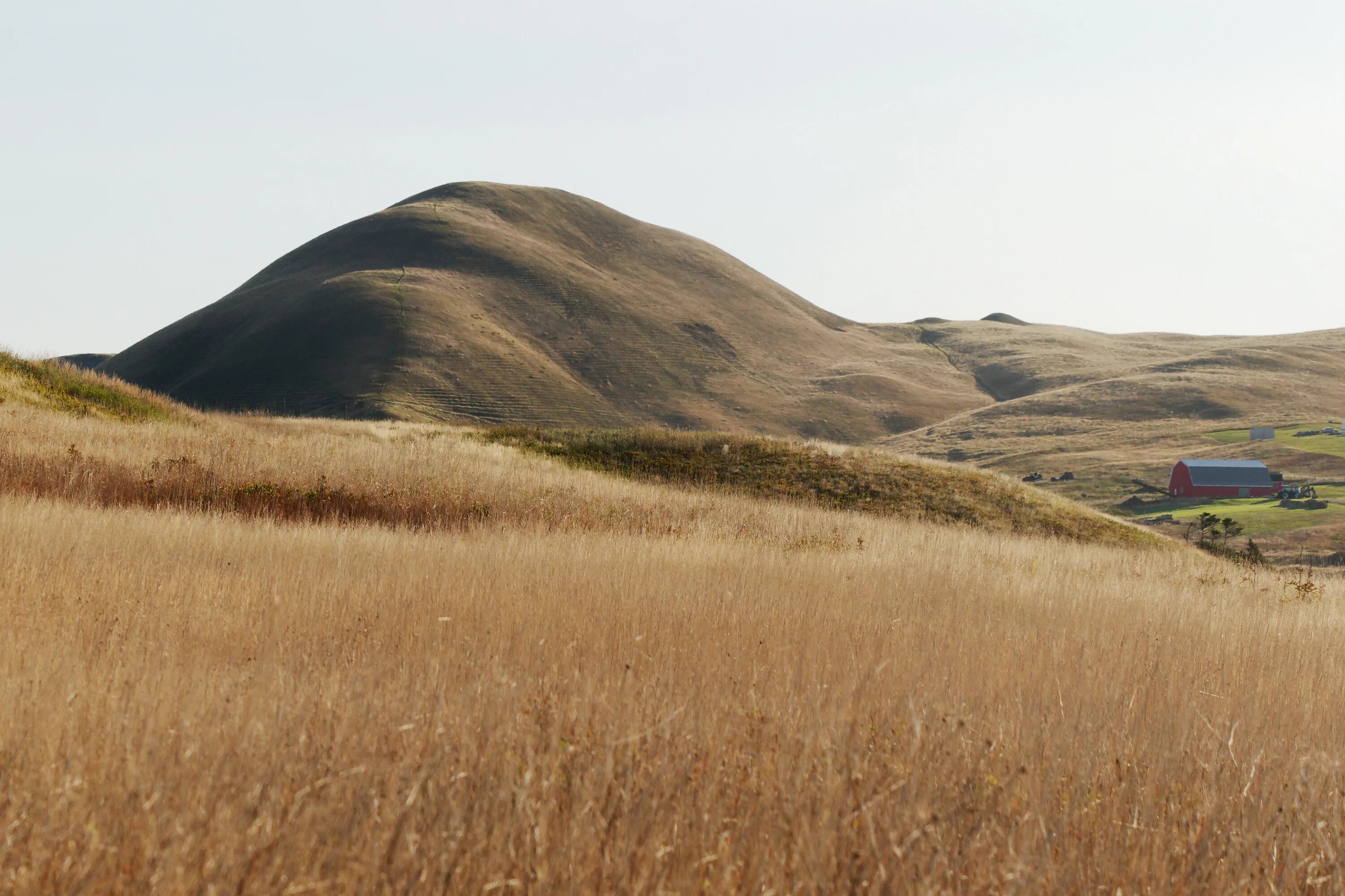 Самый большой холм. Бохоль филиппины тайфун. Large hill. Large hill. Large hill.