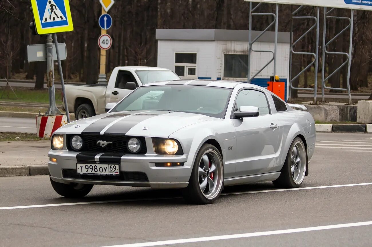 Мустанг одичавшая лошадь. Ford mustang roush. Маныч гудило мустанги. Мустанг в твери. Донские мустанги ростовский заповедник.