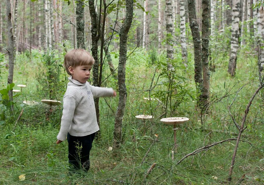 Где то эхо в лесу. Мальчик в лесу. Лети Потерявшиеся в лесу. Мальчик заблудился в лесу. Ребенок потерялся в лесу.