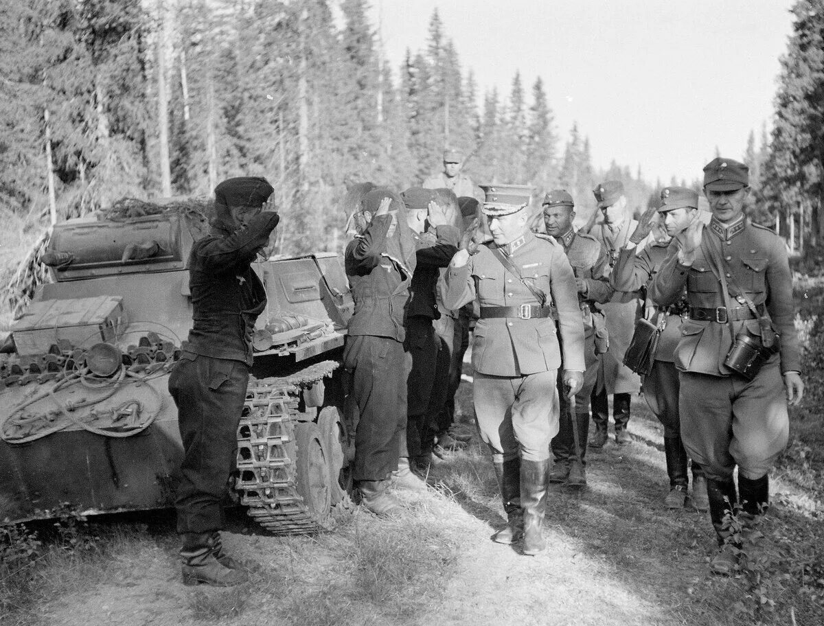 Финляндия прекратила военные действия против ссср. Фронт в Северной Карелии 1941. Финский 1941.