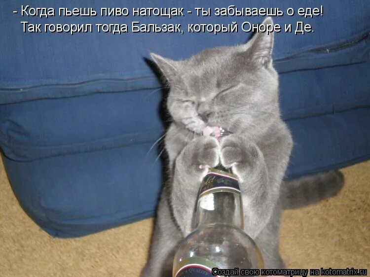 Кот пьет пиво. Когда будем пить картинки. Кот с выпивкой. Кот бухает.
