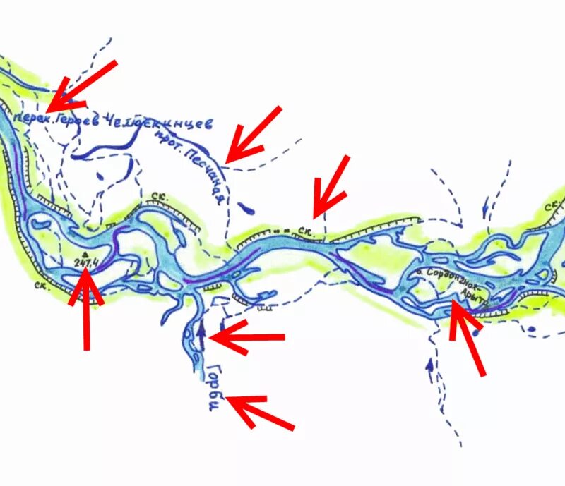 Направление течения воды рыбы определяют