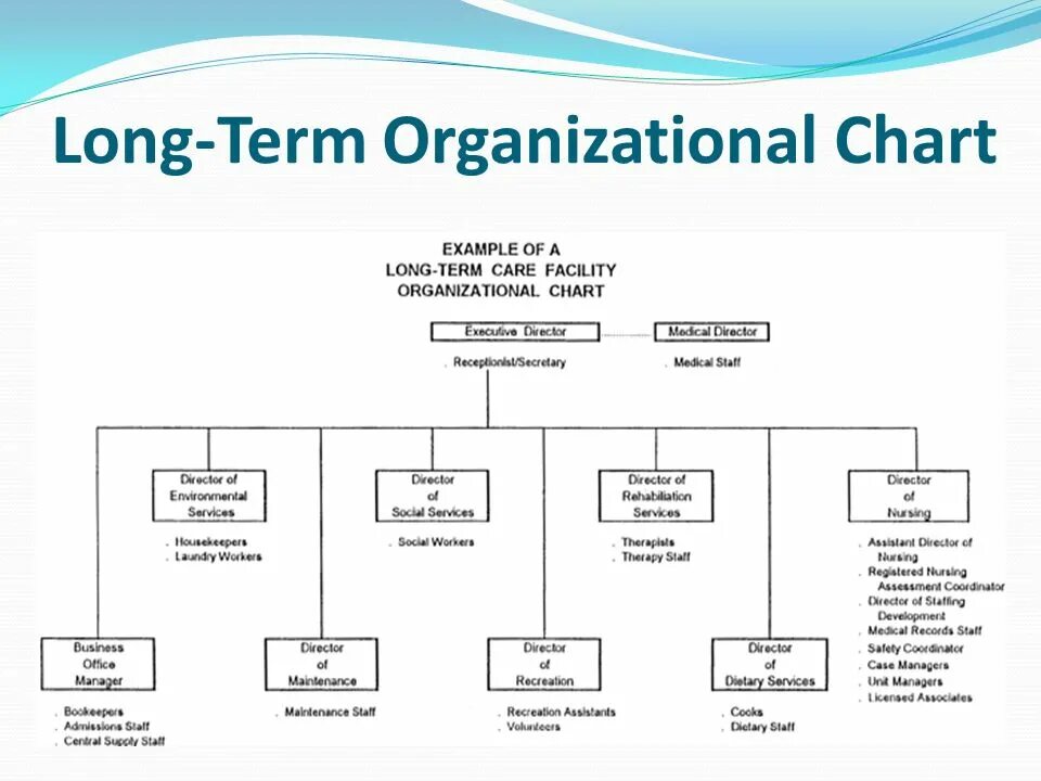 Структура ms 2. Organizational chart. диаграмма organizational chart. организационная структура майкрософт схема. организации microsoft структура.