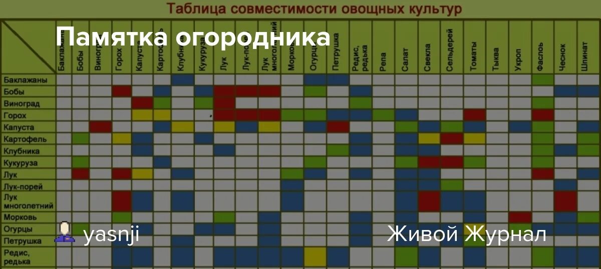 Южное соседство. Памятка огородника. Дневник садовода-огородника. Таблица совместимости растений на огороде. Таблица совместимости растений на грядке.