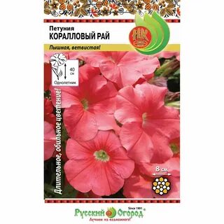 Коралловый рай