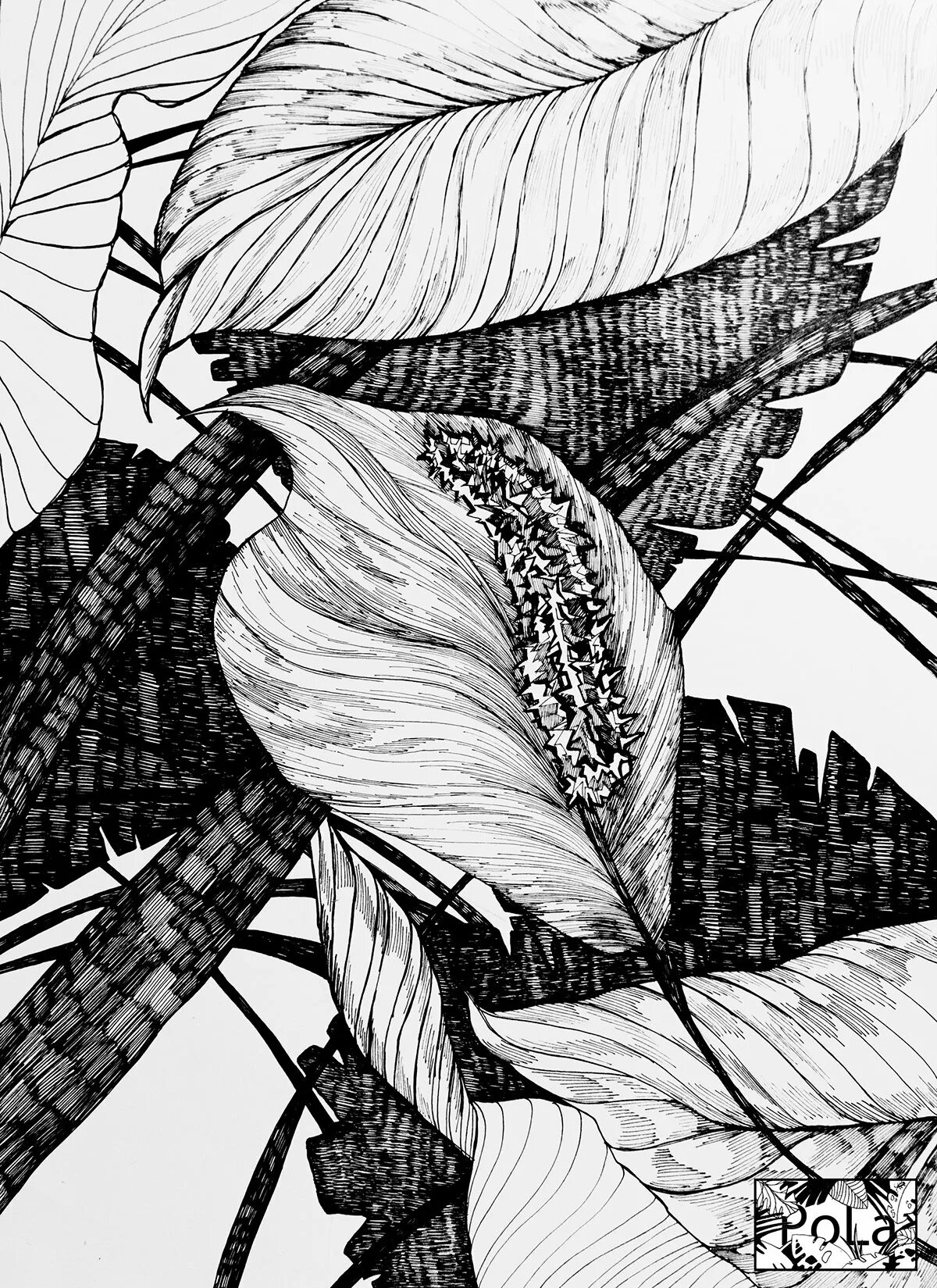 Графика рисунки. Черно белая Графика. Графика рисунки черно белые. Цветы в графике гелевой ручкой. Чёрно-белая Графика в рисунке.