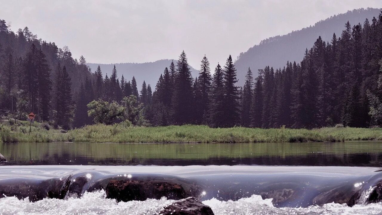 Таежная река Енисей. В тайге, у Енисея. Природа тайги. Воды тайги. Зона тайги воды