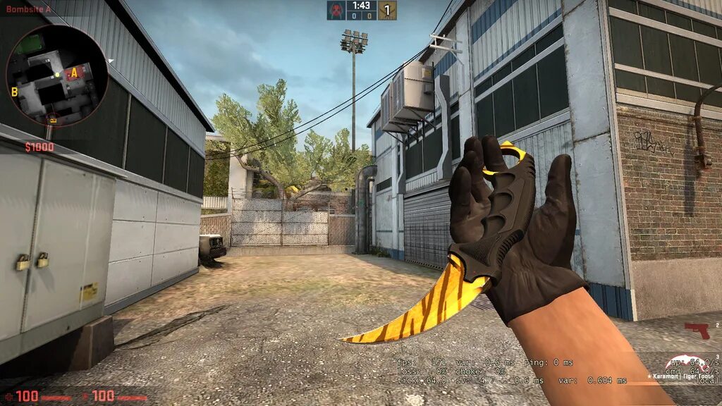 Cs go голда