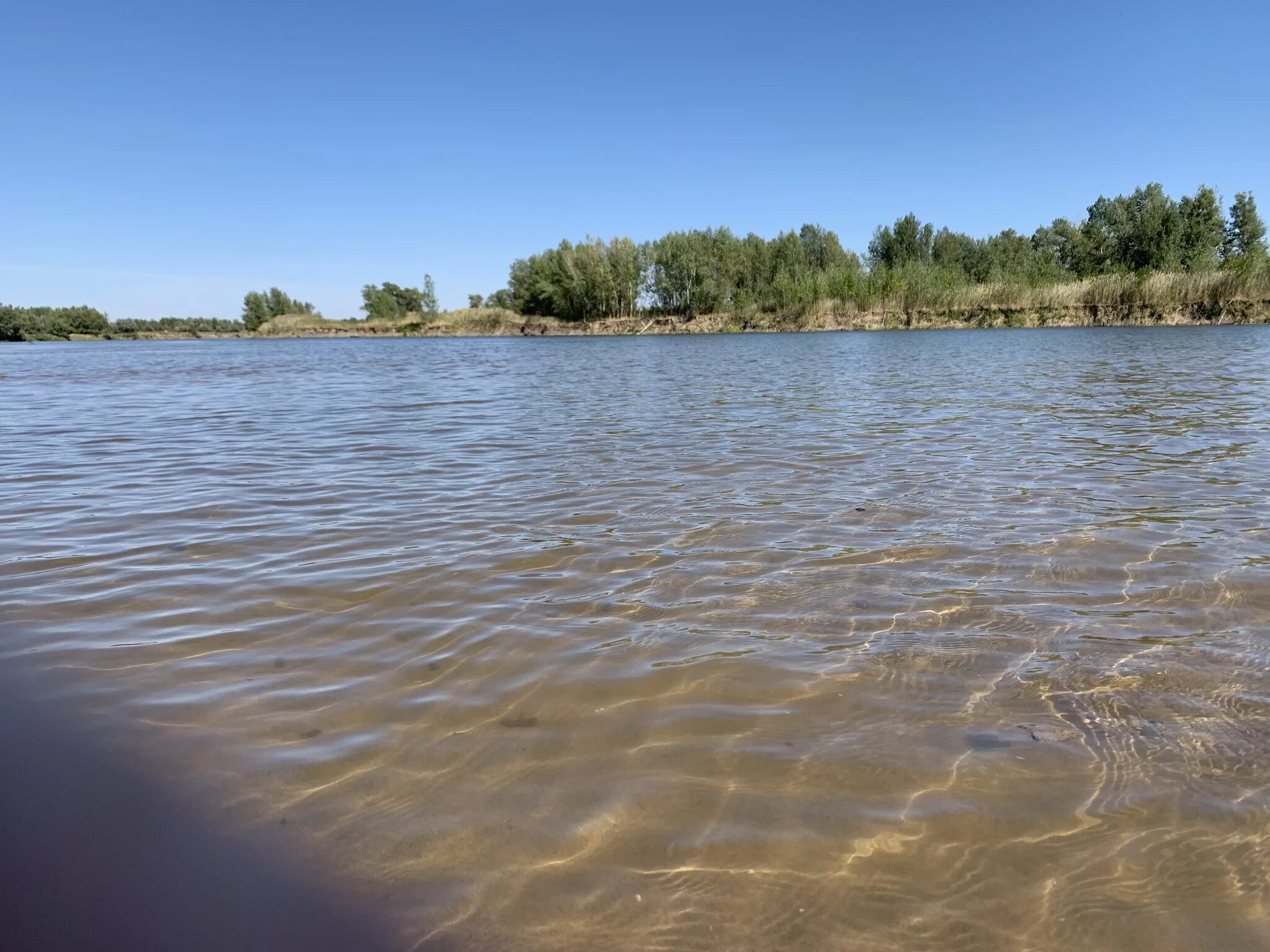 Вода в реке астрахань. Астрахань река Ахтуба. Ахтуба река Волгоград. Река Ахтуба и Волга. Река Ахтуба Астраханская область.