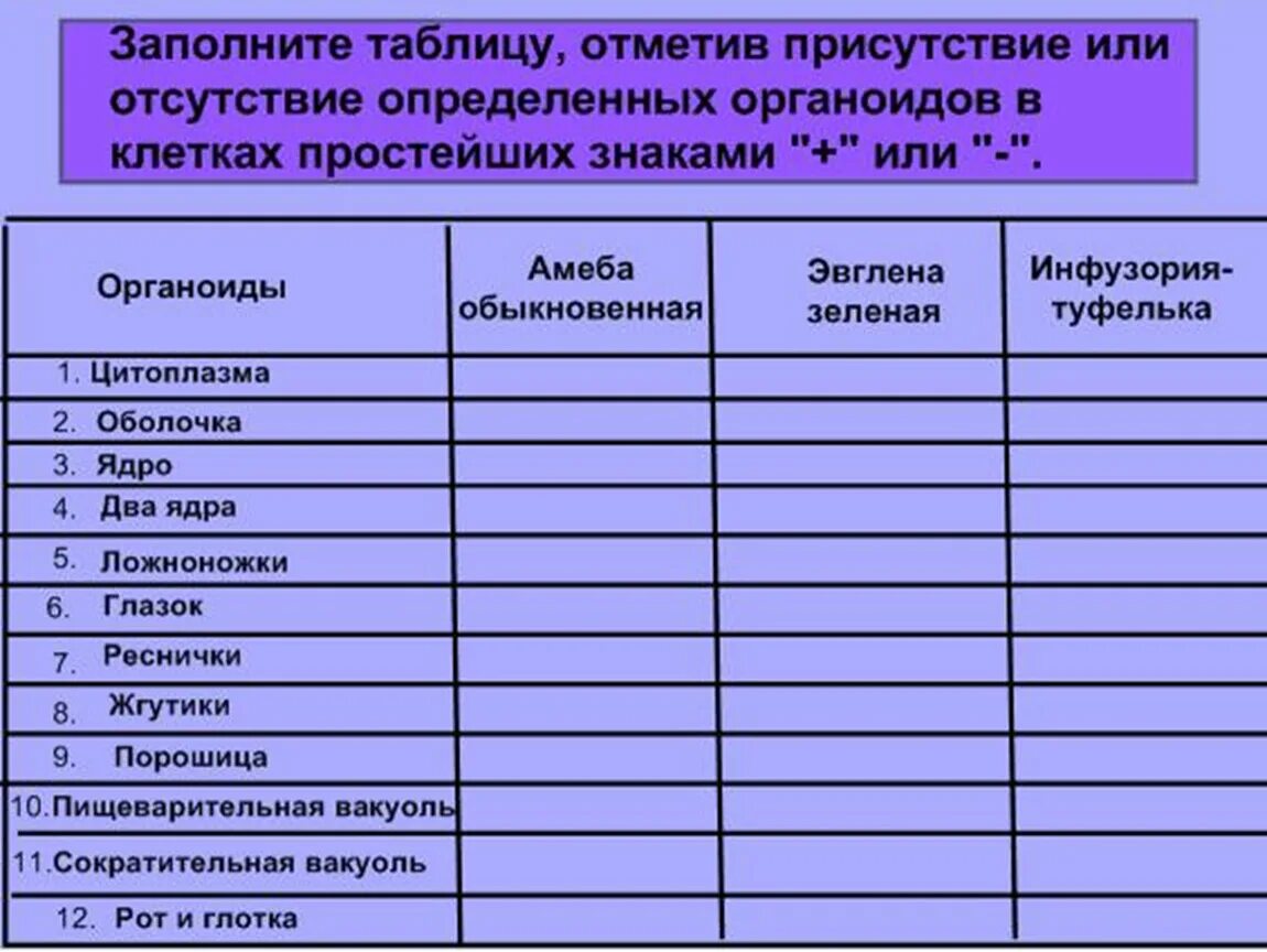 Характеристика простейших таблица. Сравнительная характеристика простейших. Сравнительная характеристика простейших таблица. Сравнение строения простейших. Простейшие сходства и различия