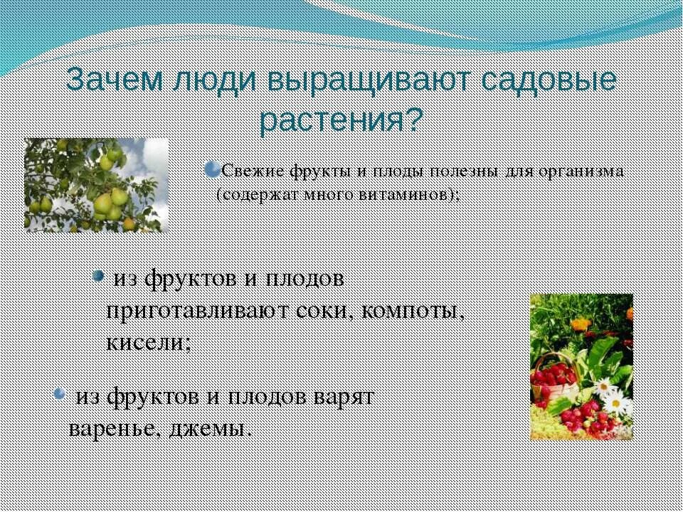 Растения которые выращивает человек. Профессии по сельскому хозяйству. Как называют людей выращивающих. Растения которые выращивает человек называются. Как называют людей выращивающих.