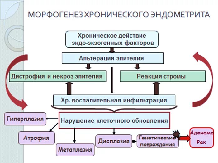 Причины эндометрии у женщин. Патогенез послеродового эндометрита. Острый эндометрит патогенез. Хронический эндометрит диагностика. Хронический эндометрит патогенез.