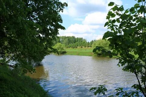 Пахра река реки москвы